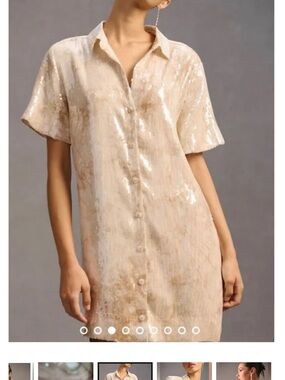 Pilcro Champagne Sequin Shirt Dress